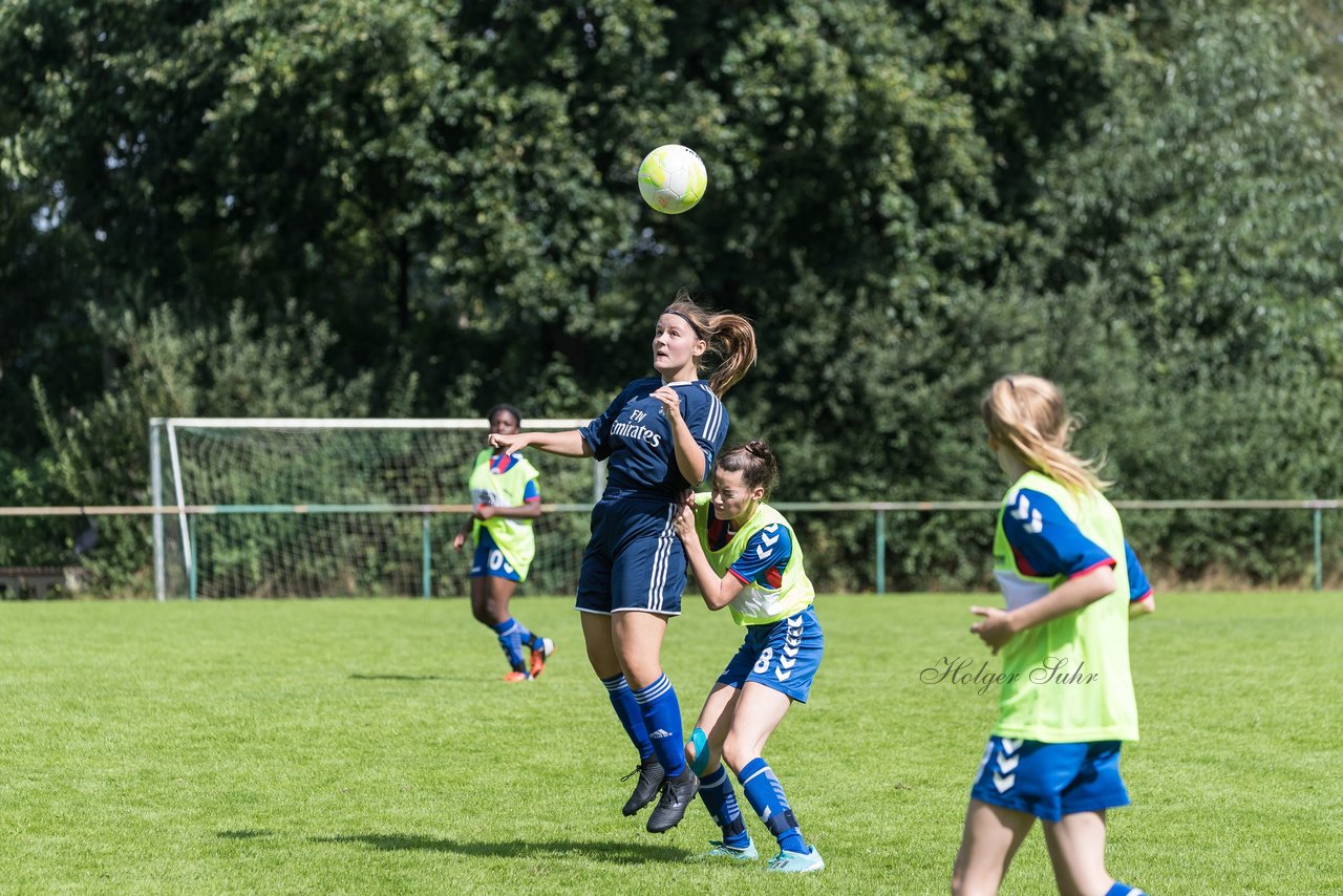 Bild 298 - B-Juniorinnen VfL Pinneberg - HSV : Ergebnis: 1:4